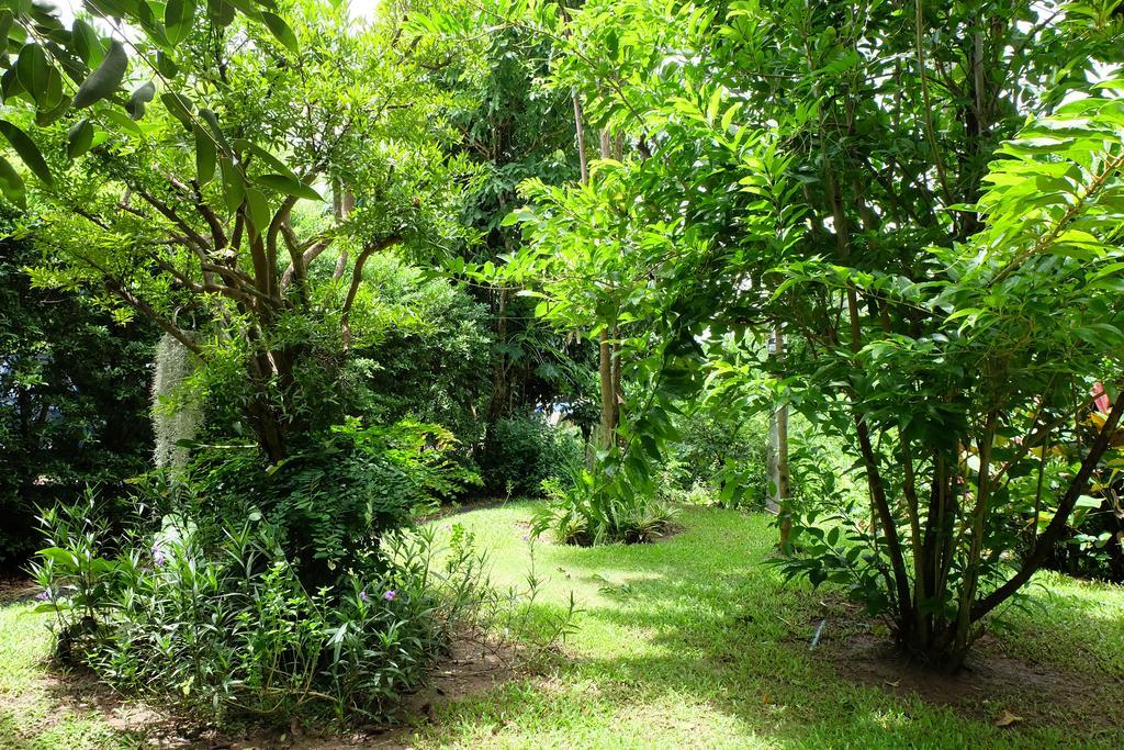 Rivercreek Estate Kaeng Krachan Eksteriør billede